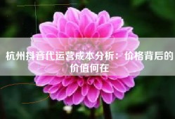 杭州抖音代运营成本分析：价格背后的价值何在