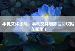 手机文件删除（手机文件删除后回收站在哪里）