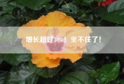 增长超过30%！坐不住了！