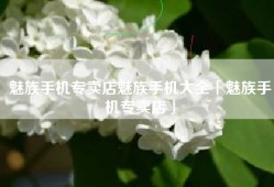 魅族手机专卖店魅族手机大全「魅族手机专卖店」