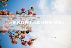 seo视频教程（seo视频教程 资源）