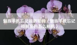魅族手机忘记锁屏密码（魅族手机忘记锁屏密码怎么刷机）
