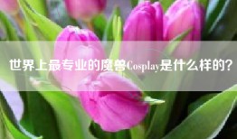 世界上最专业的魔兽Cosplay是什么样的？