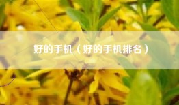 好的手机（好的手机排名）