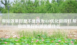 帮站效果好是不是因为SEO优化做得好,帮站效果好的原因是什么