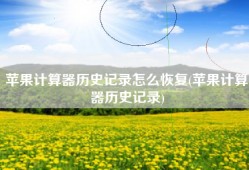 苹果计算器历史记录怎么恢复(苹果计算器历史记录)