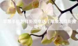 苹果手机怎样拒接电话（苹果怎样拒接电话）