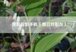 独影投影手机（独立投影仪）