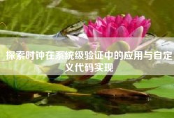 探索时钟在系统级验证中的应用与自定义代码实现