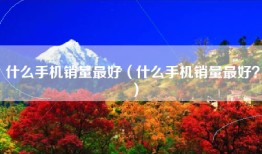 什么手机销量最好（什么手机销量最好？）