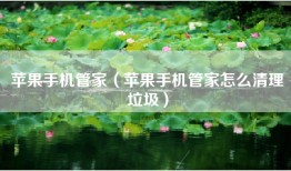 苹果手机管家（苹果手机管家怎么清理垃圾）