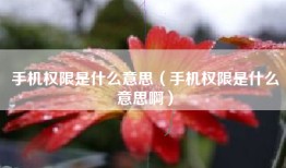手机权限是什么意思（手机权限是什么意思啊）