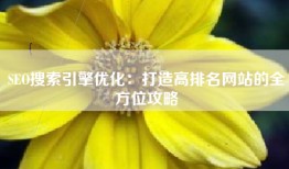 SEO搜索引擎优化：打造高排名网站的全方位攻略
