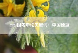 2021国考申论关键词：中国速度