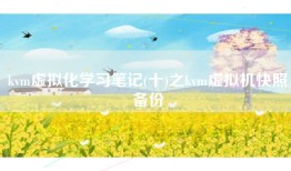 kvm虚拟化学习笔记(十)之kvm虚拟机快照备份