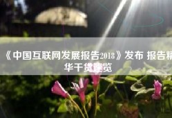 《中国互联网发展报告2018》发布 报告精华干货速览