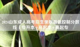 2024山东成人高考招生录取最低控制分数线（专升本+高起本+高起专