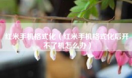 红米手机格式化（红米手机格式化后开不了机怎么办）