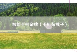 智能手机杂牌（手机杂牌子）