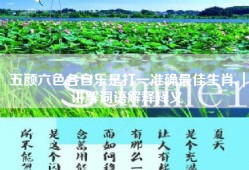 五颜六色各自乐是打一准确最佳生肖,｜讲解词语解释释义