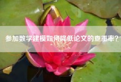 参加数学建模如何降低论文的查重率？