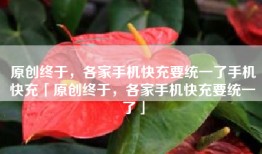原创终于，各家手机快充要统一了手机快充「原创终于，各家手机快充要统一了」