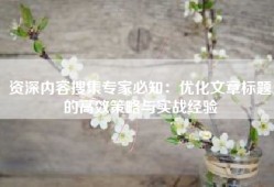 资深内容搜集专家必知：优化文章标题的高效策略与实战经验