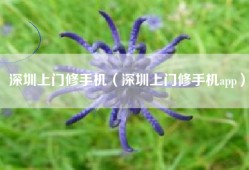 深圳上门修手机（深圳上门修手机app）