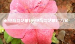 电商网站推广_电商网站推广方案