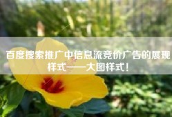 百度搜索推广中信息流竞价广告的展现样式——大图样式！