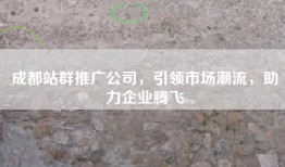 成都站群推广公司，引领市场潮流，助力企业腾飞