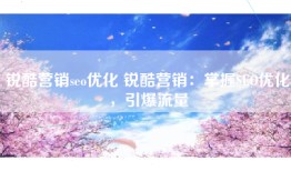 锐酷营销seo优化 锐酷营销：掌握SEO优化，引爆流量