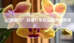 “微旅行”自由！市区公园开放共享