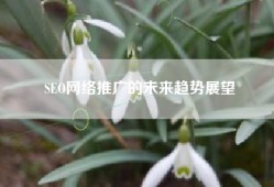 SEO网络推广的未来趋势展望
