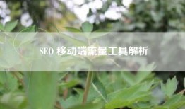 SEO 移动端流量工具解析
