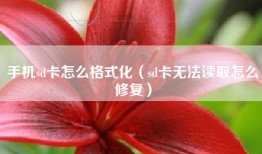 手机sd卡怎么格式化（sd卡无法读取怎么修复）