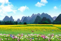 房地产公证上的卖房风险