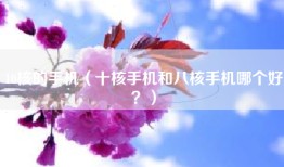 10核的手机（十核手机和八核手机哪个好？）