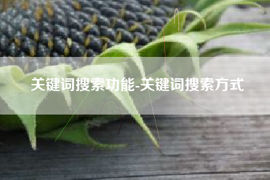 关键词搜索功能-关键词搜索方式