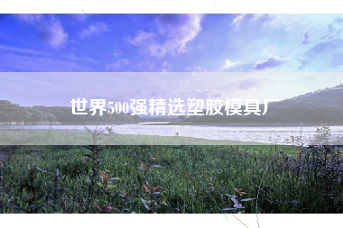 世界500强精选塑胶模具厂