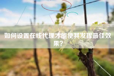 如何设置在线代理才能使其发挥最佳效果？