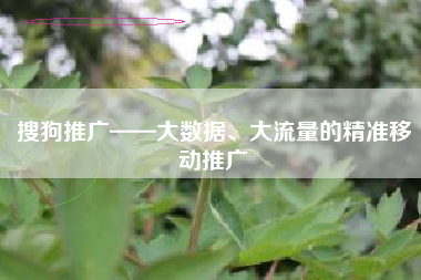 搜狗推广——大数据、大流量的精准移动推广