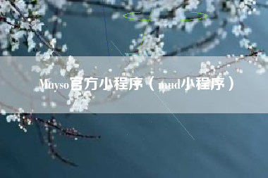 Muyso官方小程序（mud小程序）