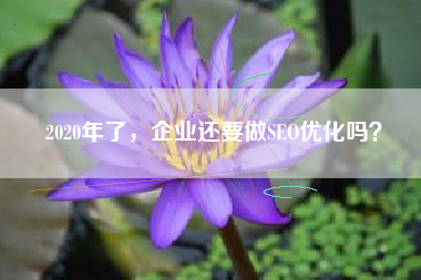 2020年了，企业还要做SEO优化吗？