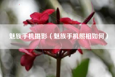 魅族手机摄影（魅族手机照相如何）