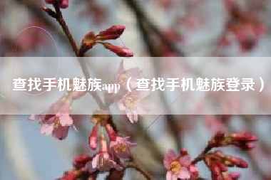 查找手机魅族app（查找手机魅族登录）