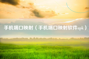 手机端口映射（手机端口映射软件apk）
