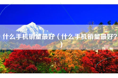 什么手机销量最好（什么手机销量最好？）