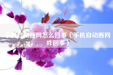 手机自动断网怎么回事（手机自动断网咋回事）