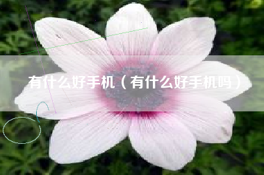 有什么好手机（有什么好手机吗）